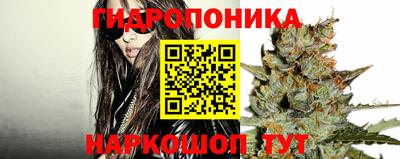 ПСИЛОЦИБИНОВЫЕ ГРИБЫ Лесосибирск