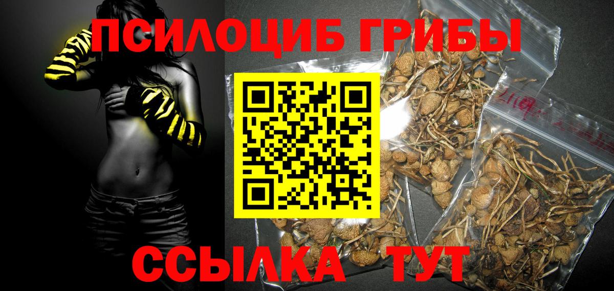 Вичуга  цены наркотик  Вход с VPN  Галлюциногенные грибы Psilocybe 