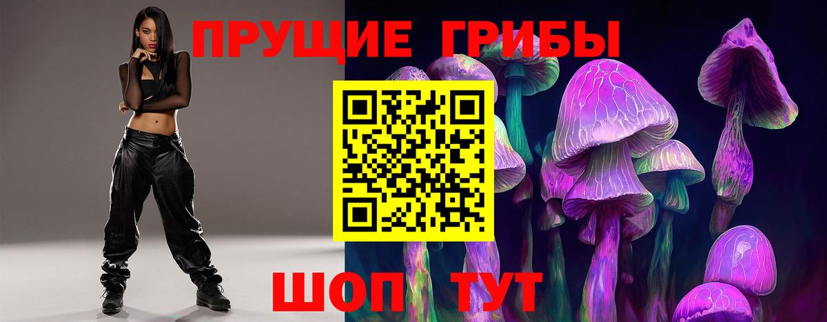 Галлюциногенные грибы Cubensis Вичуга
